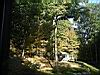 2004-10-13_Autumn-horseback 361.JPG